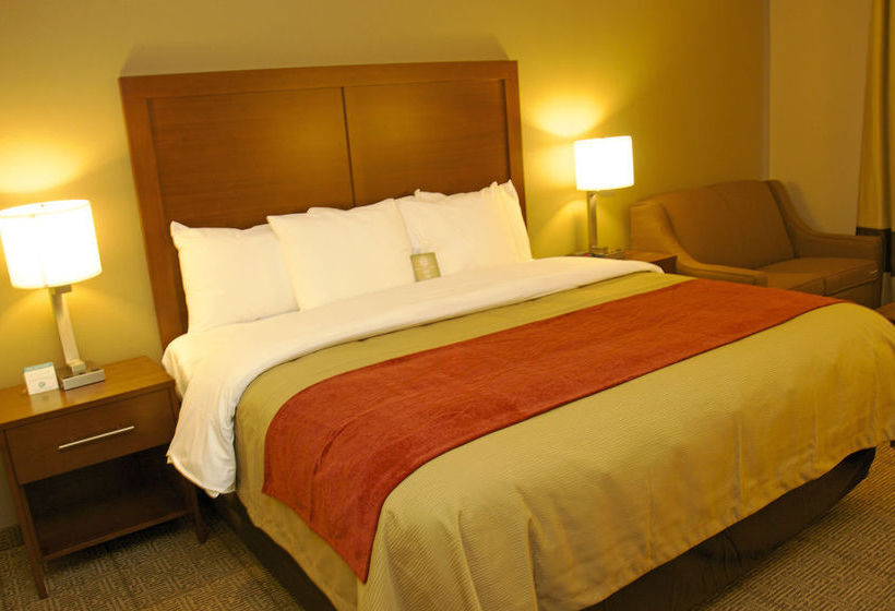 Hotel Comfort Inn  | Limon | Colorado | United States 19