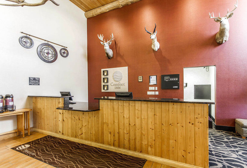 Hotel Comfort Inn  | Owatonna | Minnesota | United States 20