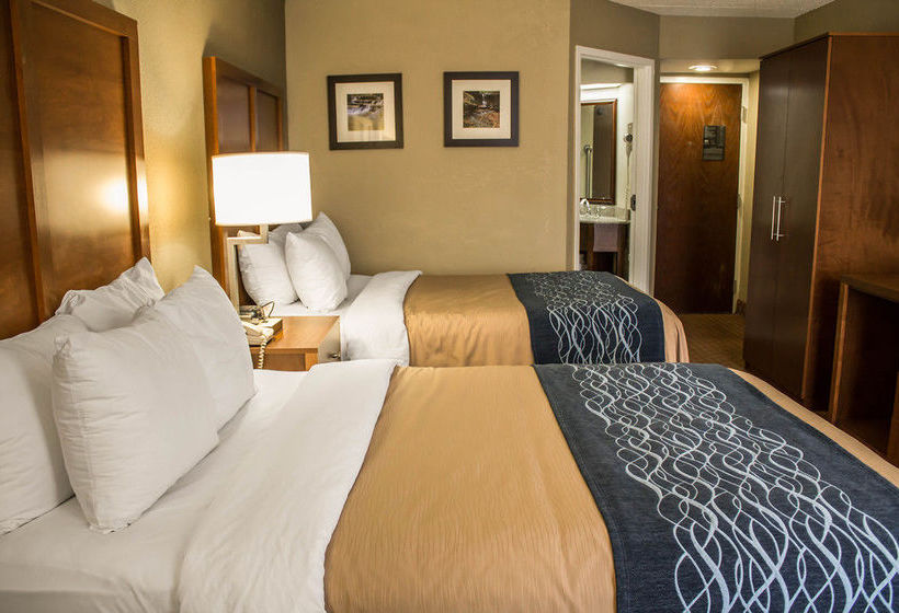 Hotel Comfort Inn Akron  | Akron | Ohio | United States 15