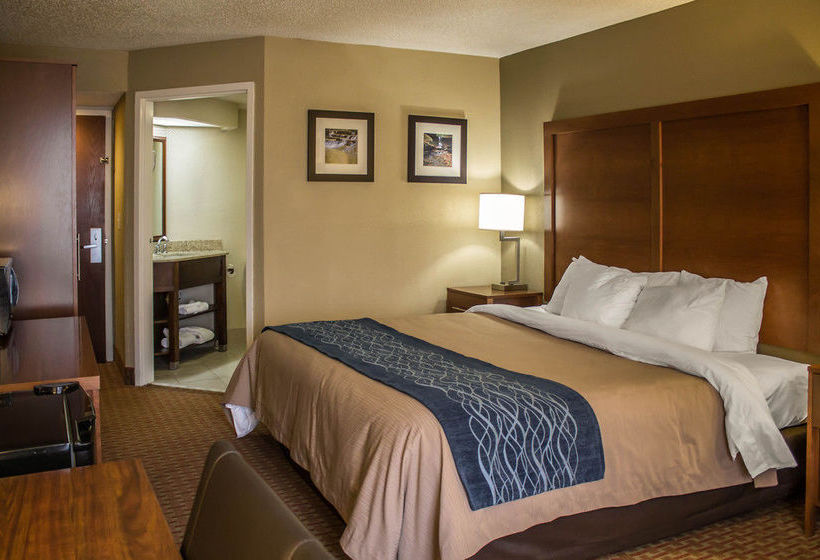 Hotel Comfort Inn Akron  | Akron | Ohio | United States 18