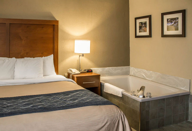 Hotel Comfort Inn Akron  | Akron | Ohio | United States 19