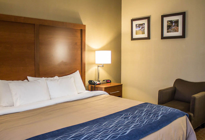 Hotel Comfort Inn Akron  | Akron | Ohio | United States 6