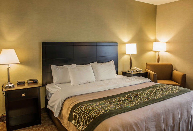 Hotel Comfort Inn  | Crawfordsville | Indiana | United States 12