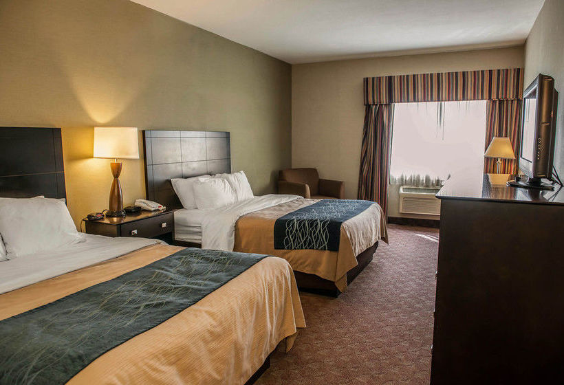Hotel Comfort Inn  | Crawfordsville | Indiana | United States 14