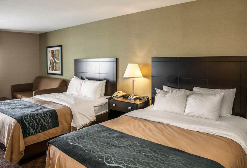 Hotel Comfort Inn  | Crawfordsville | Indiana | United States 15