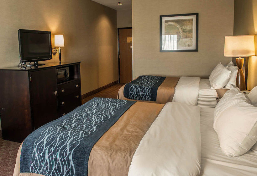 Hotel Comfort Inn  | Crawfordsville | Indiana | United States 16