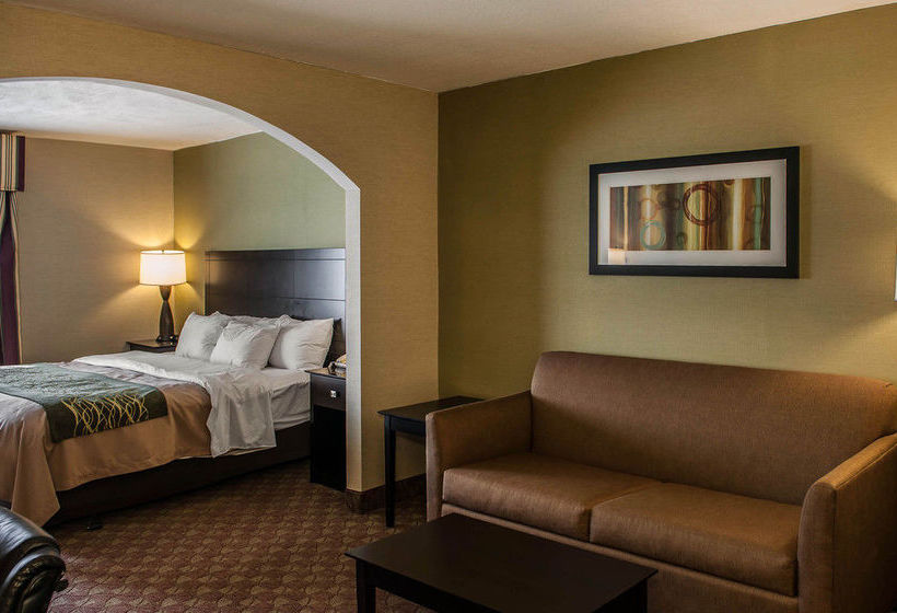 Hotel Comfort Inn  | Crawfordsville | Indiana | United States 17