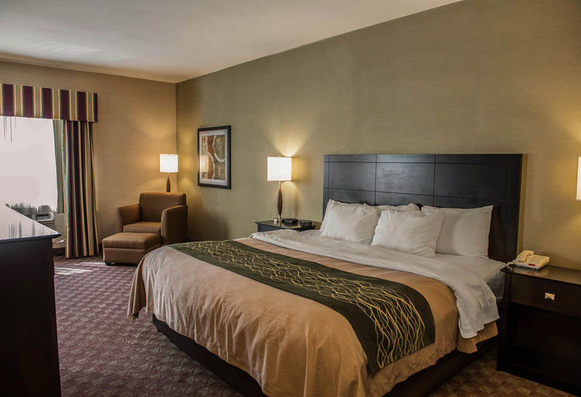 Hotel Comfort Inn  | Crawfordsville | Indiana | United States 19