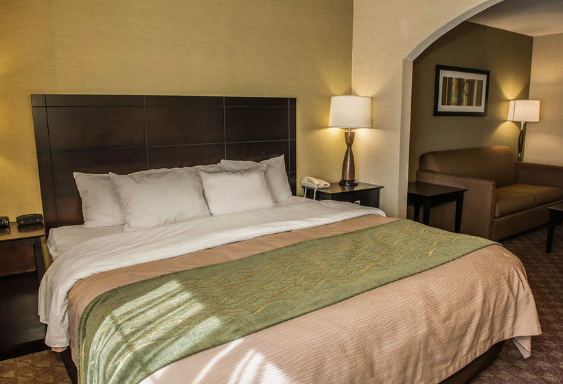 Hotel Comfort Inn  | Crawfordsville | Indiana | United States 20