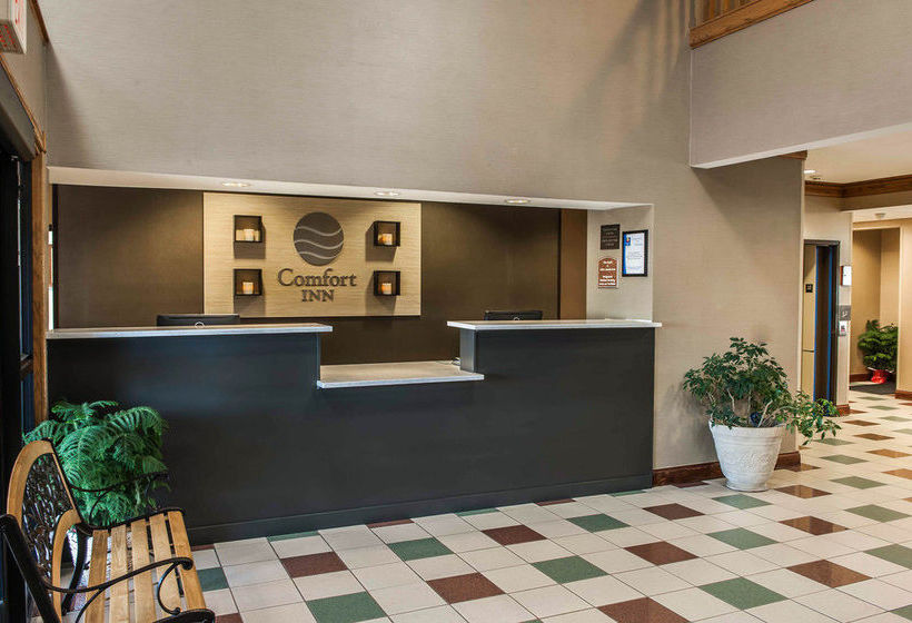 Hotel Comfort Inn  | Crawfordsville | Indiana | United States 8