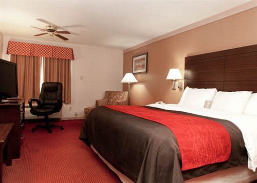 Hotel Comfort Inn Rosenberg  | Rosenberg | Texas | United States 12
