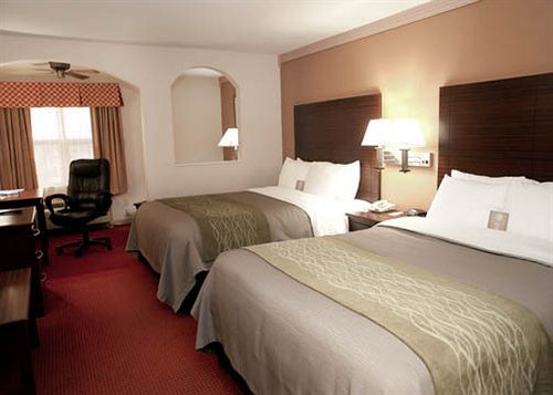 Hotel Comfort Inn Rosenberg  | Rosenberg | Texas | United States 7