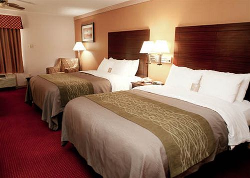 Hotel Comfort Inn Rosenberg  | Rosenberg | Texas | United States 8