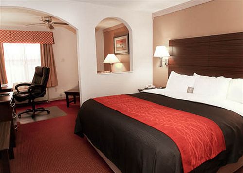 Hotel Comfort Inn Rosenberg  | Rosenberg | Texas | United States 9