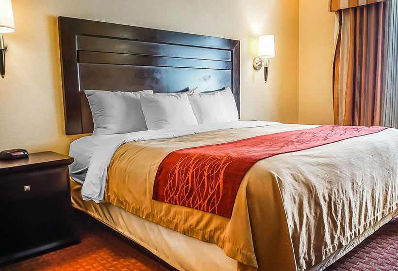 Hotel Comfort Inn  | Roswell | New Mexico | Hotel negli Stati Uniti 14