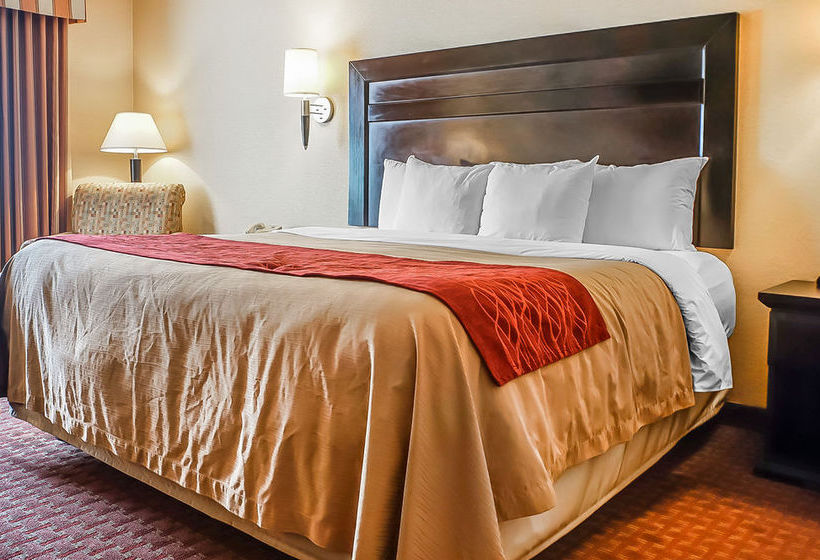 Hotel Comfort Inn  | Roswell | New Mexico | Hotel negli Stati Uniti 4