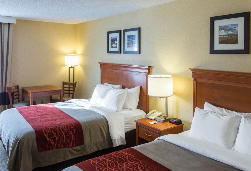 Hotel Comfort Inn  | Pueblo | Colorado | United States 16