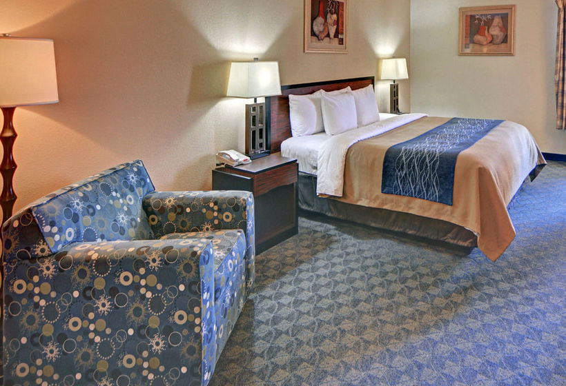 Hotel Comfort Inn & Suites DFW Airport South  | Irving | Texas | United States 12