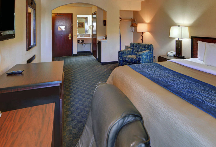 Hotel Comfort Inn & Suites DFW Airport South  | Irving | Texas | United States 13