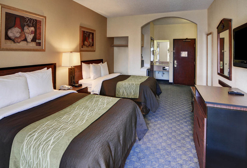 Hotel Comfort Inn & Suites DFW Airport South  | Irving | Texas | United States 15