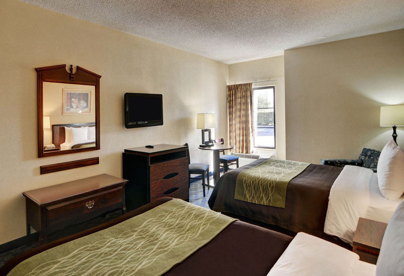 Hotel Comfort Inn & Suites DFW Airport South  | Irving | Texas | United States 16