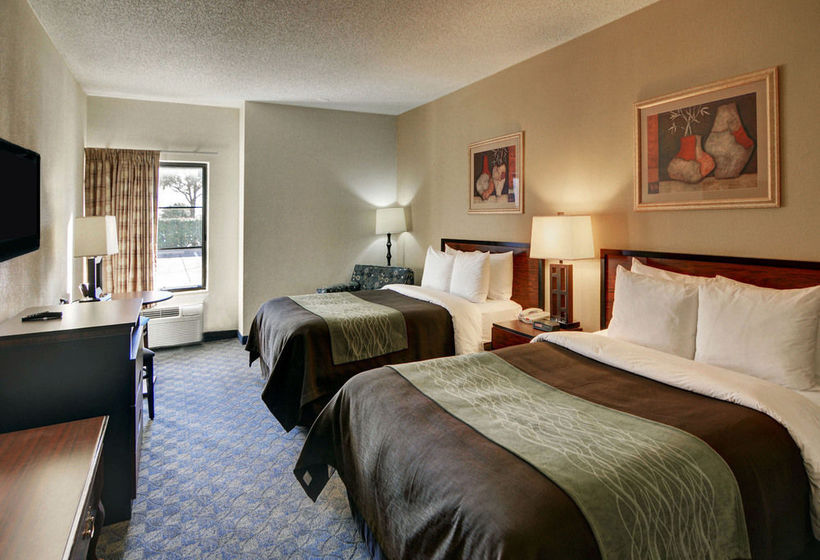 Hotel Comfort Inn & Suites DFW Airport South  | Irving | Texas | United States 17