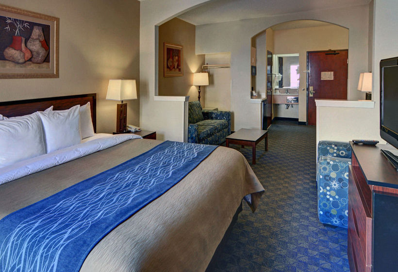 Hotel Comfort Inn & Suites DFW Airport South  | Irving | Texas | United States 20