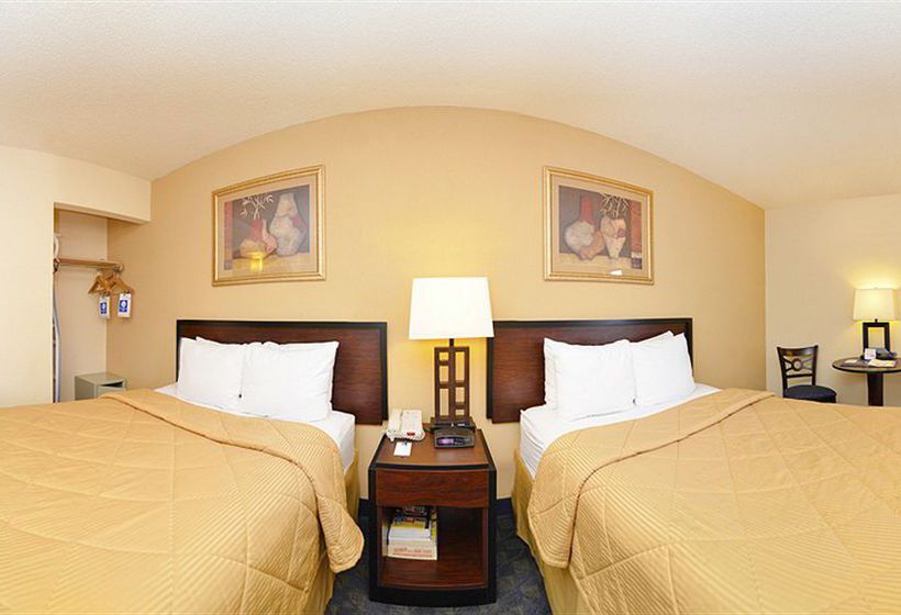Hotel Comfort Inn & Suites DFW Airport South  | Irving | Texas | United States 5