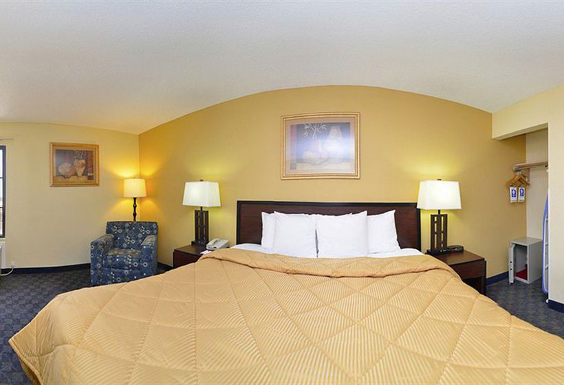 Hotel Comfort Inn & Suites DFW Airport South  | Irving | Texas | United States 8