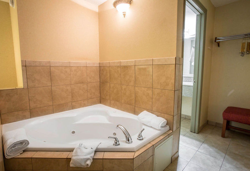 Hotel Comfort Inn  | Black Mountain | North Carolina | United States 18