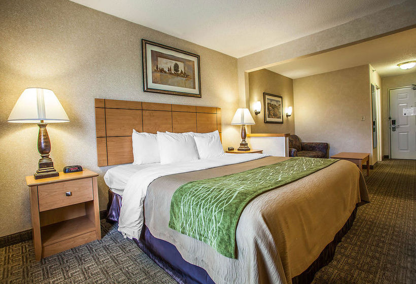 Hotel Comfort Inn Rockford  | Rockford | Illinois | United States 10