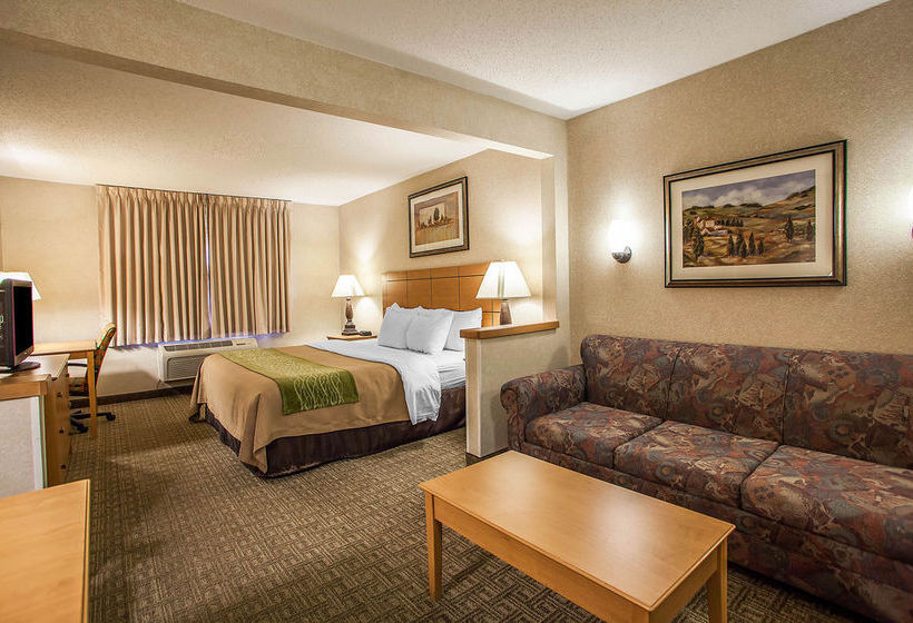 Hotel Comfort Inn Rockford  | Rockford | Illinois | United States 11