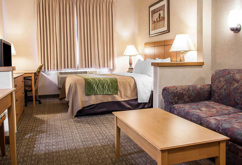 Hotel Comfort Inn Rockford  | Rockford | Illinois | United States 12