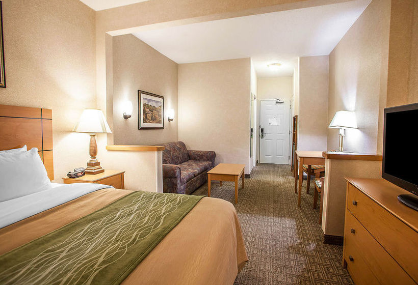 Hotel Comfort Inn Rockford  | Rockford | Illinois | United States 13