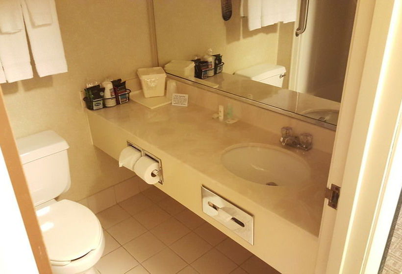 Hotel Comfort Inn Rockford  | Rockford | Illinois | United States 14