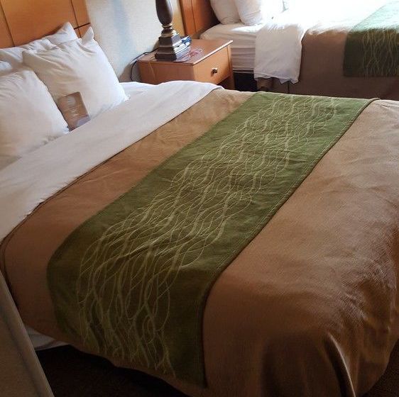 Hotel Comfort Inn Rockford  | Rockford | Illinois | United States 20