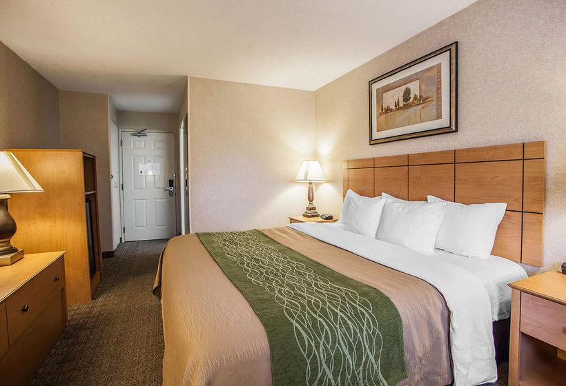 Hotel Comfort Inn Rockford  | Rockford | Illinois | United States 6