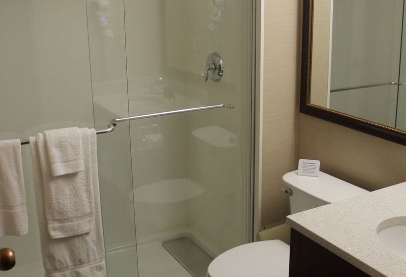 Hotel Comfort Inn & Suites  | West Springfield | Massachusetts | United States 11