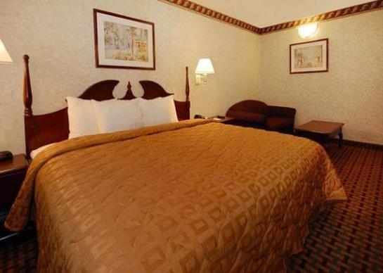 Hotel Comfort Inn & Suites  | West Springfield | Massachusetts | United States 14