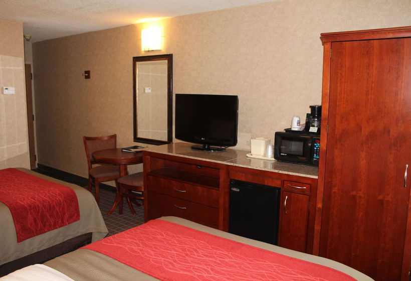 Hotel Comfort Inn & Suites  | West Springfield | Massachusetts | United States 4