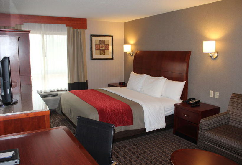 Hotel Comfort Inn & Suites  | West Springfield | Massachusetts | United States 5