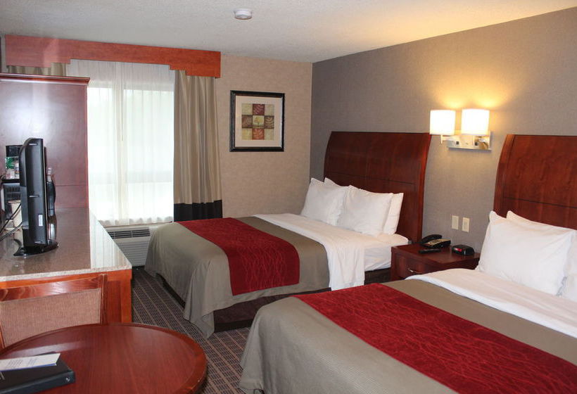 Hotel Comfort Inn & Suites  | West Springfield | Massachusetts | United States 6
