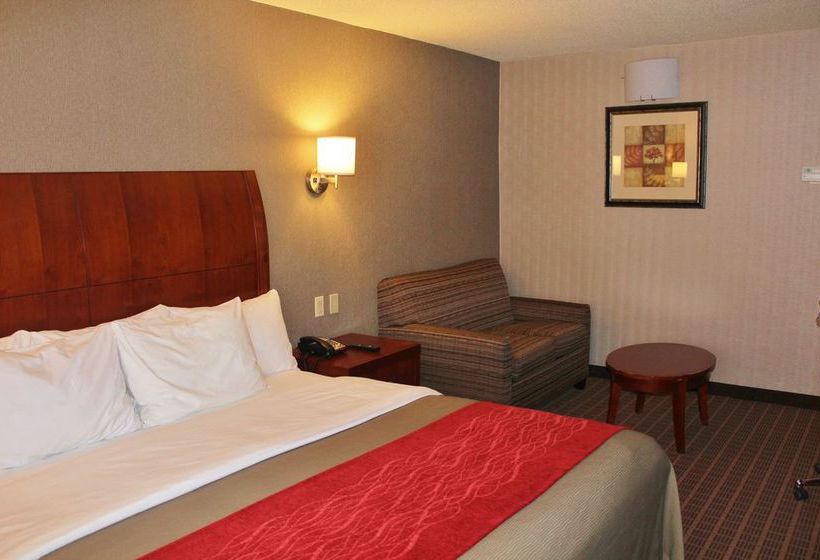 Hotel Comfort Inn & Suites  | West Springfield | Massachusetts | United States 7