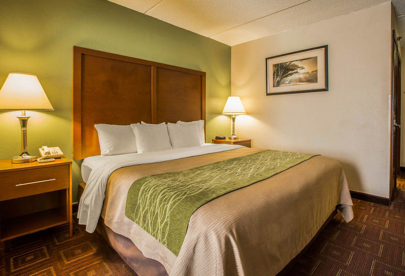 Hôtel Comfort Inn Asheville Arpt  | Fletcher | Caroline du Nord | Hôtels aux États-Unis 10