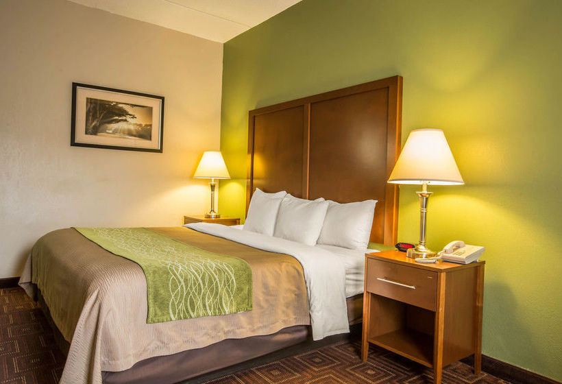 Hôtel Comfort Inn Asheville Arpt  | Fletcher | Caroline du Nord | Hôtels aux États-Unis 12