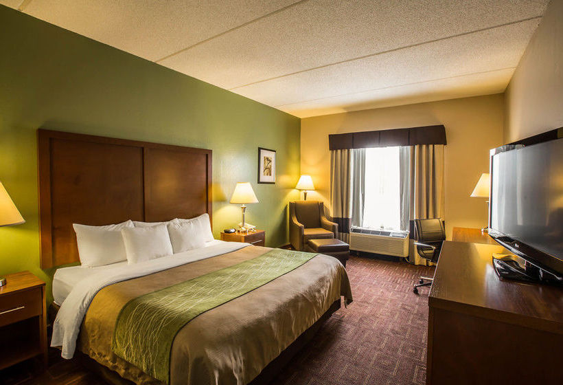 Hôtel Comfort Inn Asheville Arpt  | Fletcher | Caroline du Nord | Hôtels aux États-Unis 17
