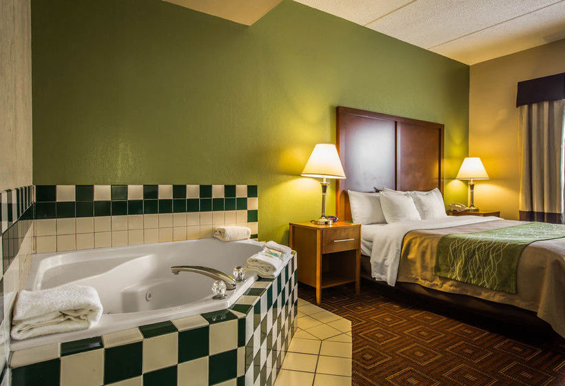 Hôtel Comfort Inn Asheville Arpt  | Fletcher | Caroline du Nord | Hôtels aux États-Unis 18