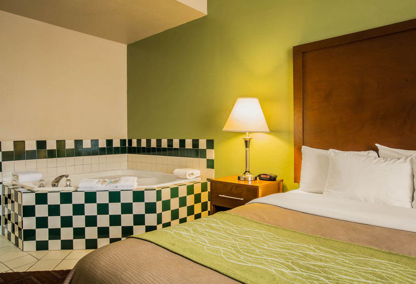 Hôtel Comfort Inn Asheville Arpt  | Fletcher | Caroline du Nord | Hôtels aux États-Unis 19