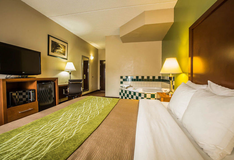 Hôtel Comfort Inn Asheville Arpt  | Fletcher | Caroline du Nord | Hôtels aux États-Unis 20