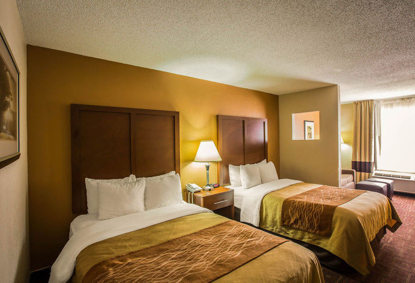 Hôtel Comfort Inn Asheville Arpt  | Fletcher | Caroline du Nord | Hôtels aux États-Unis 7